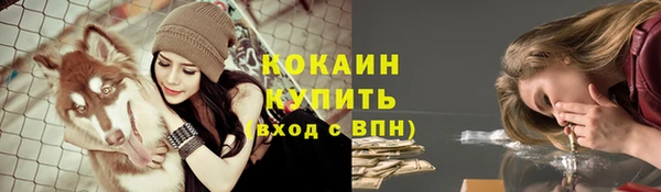 мяу мяу мука Алексин