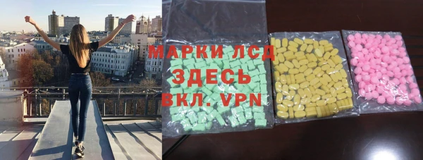 стаф Аркадак