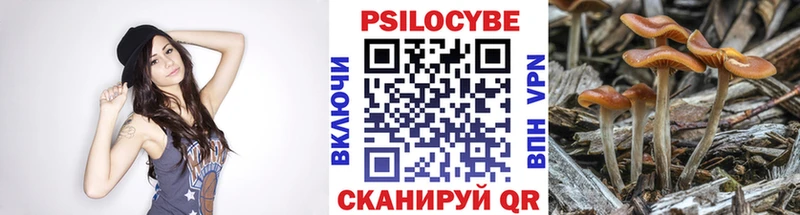 дарнет шоп  Артём  Галлюциногенные грибы ЛСД 